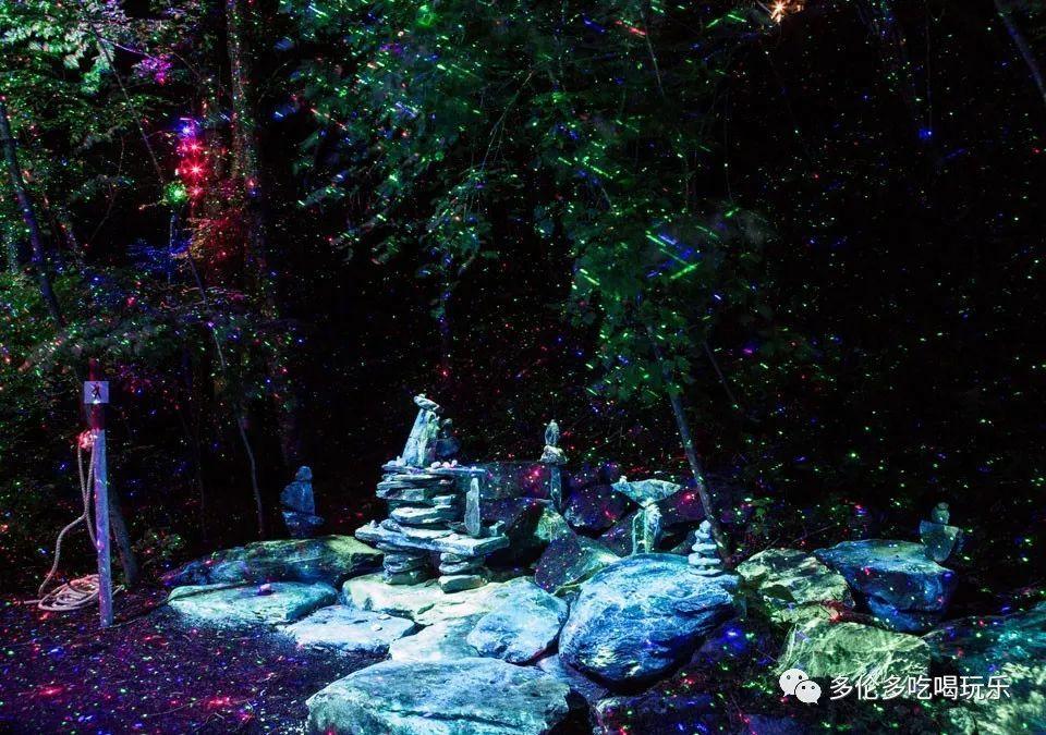 马斯克:首例脑机接口人体移植完成
